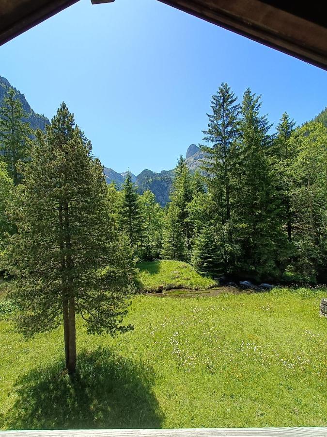 Chalet Filfalle Kandersteg Exterior photo